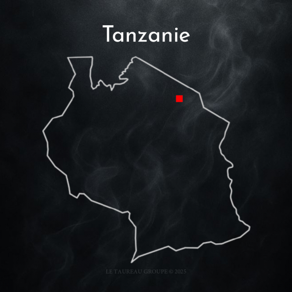 Grand Voyage n.001 - Tanzanie ( 1 KG )